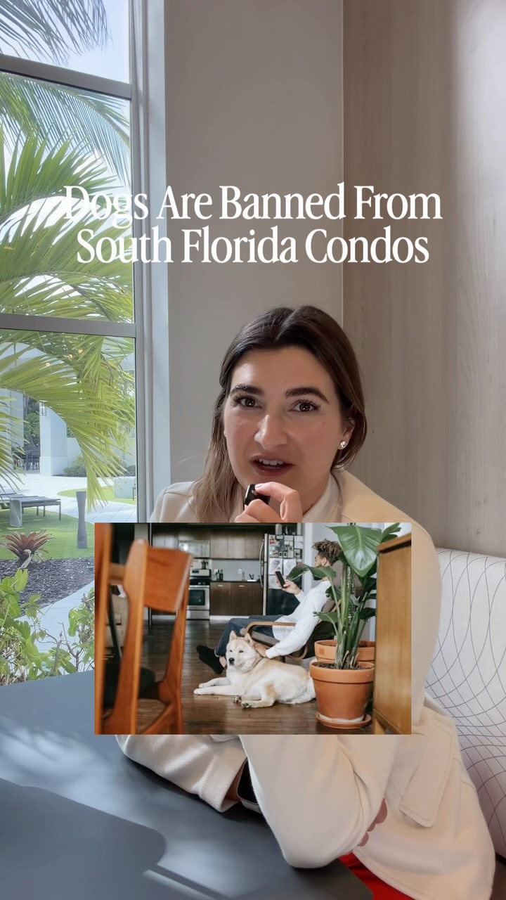 Instagram post by Olivia Bardinelli: If you’re moving to South Florida with a dog, this is the one thing that catches people completely off guard.